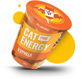 Cat Energy Pro с курицей